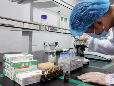 金元四醫(yī)生物科技與昊祥藥業(yè)嚴抓產(chǎn)品質(zhì)量關(guān)，推動生物科技研究開發(fā)