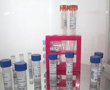 引進美國生物工程前沿技術，打造高科技生物制品研發新生態